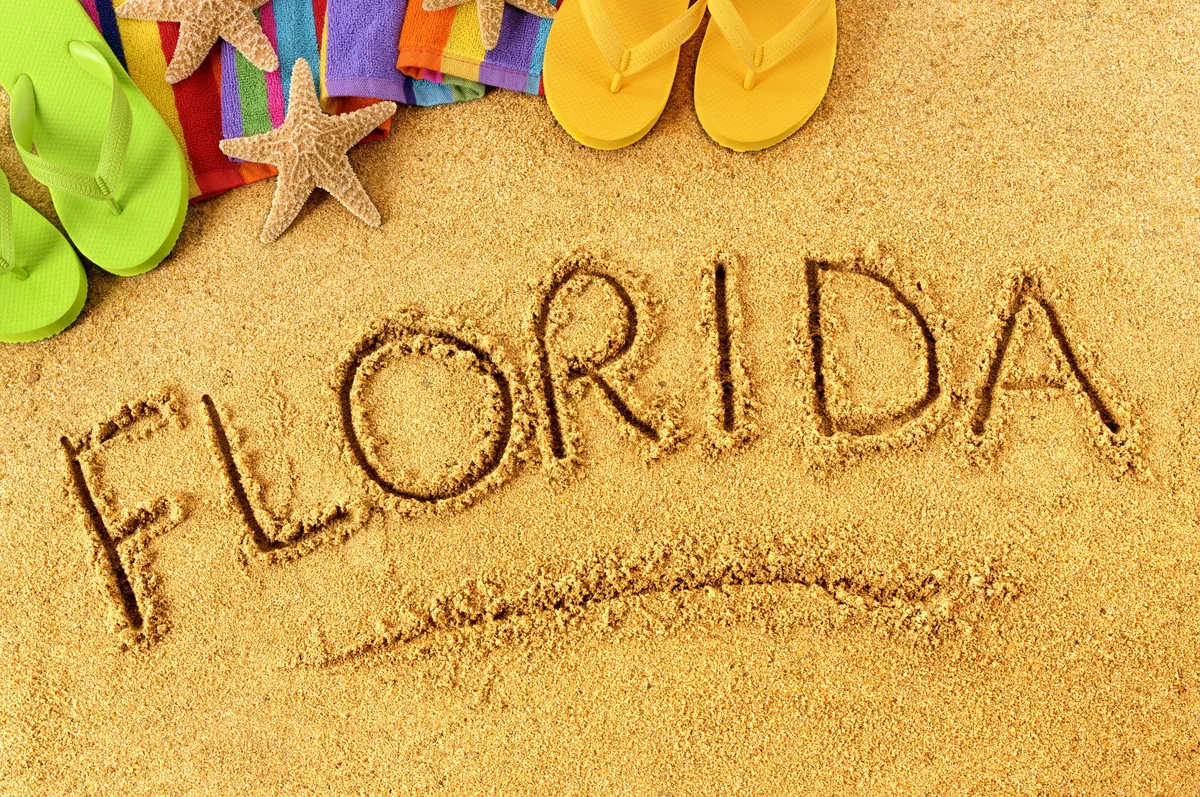 Florida beach and palm trees